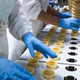 Factory workers placing ice cream cones in conveyer belt